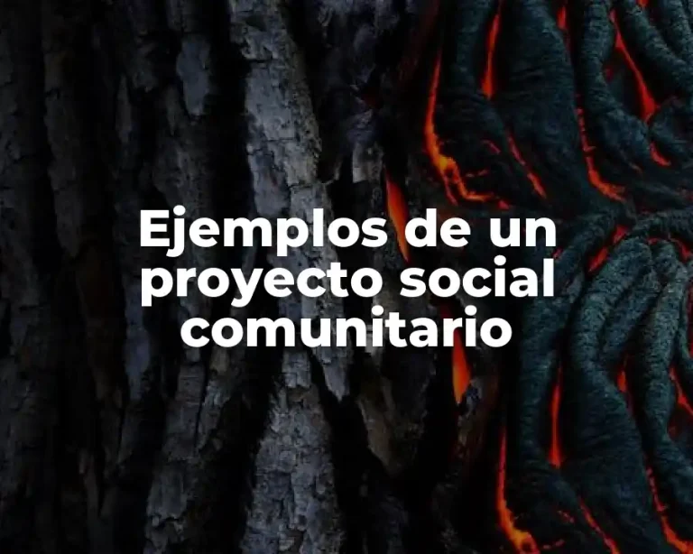 Ejemplos de un proyecto social comunitario