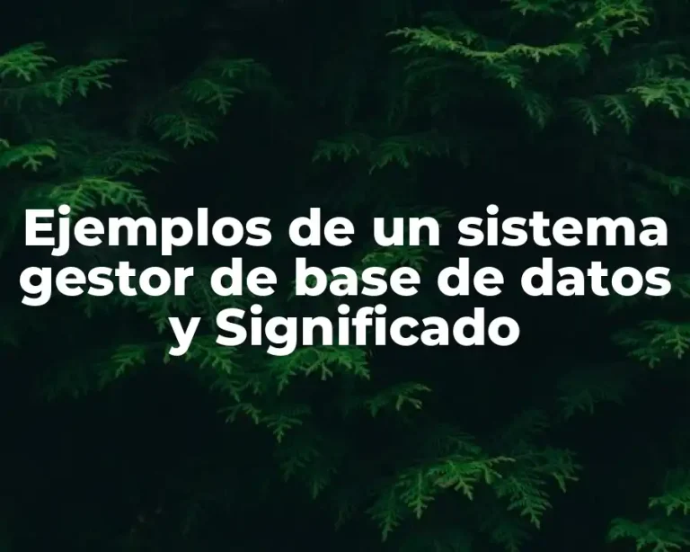 Ejemplos de un sistema gestor de base de datos y Significado
