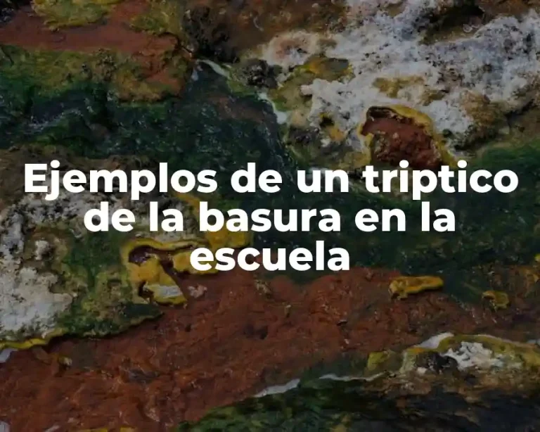 Ejemplos de un triptico de la basura en la escuela