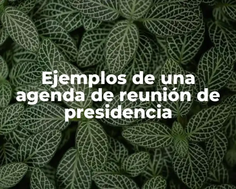 Ejemplos de una agenda de reunión de presidencia