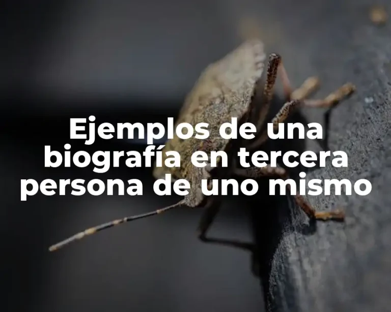Ejemplos de una biografía en tercera persona de uno mismo