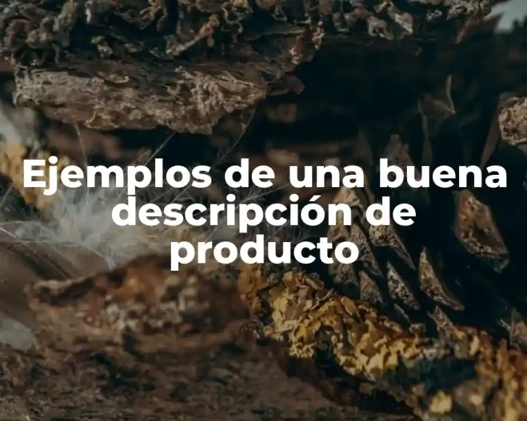 Ejemplos de una buena descripción de producto