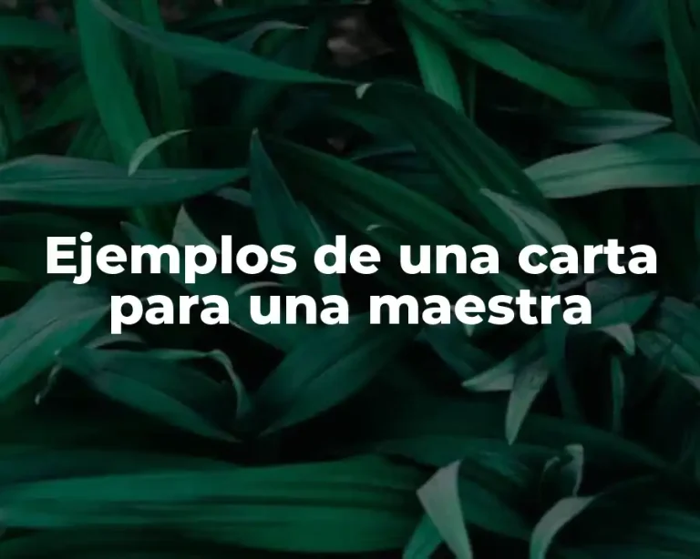 Ejemplos de una carta para una maestra