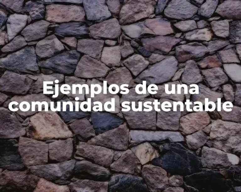 Ejemplos de una comunidad sustentable