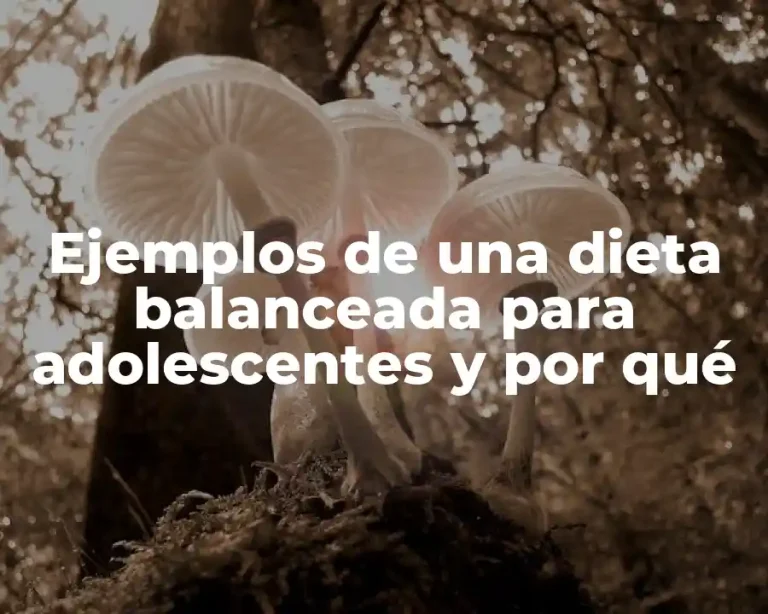 Ejemplos de una dieta balanceada para adolescentes y por qué
