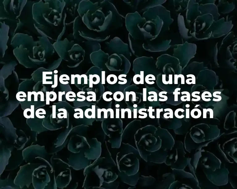 Ejemplos de una empresa con las fases de la administración