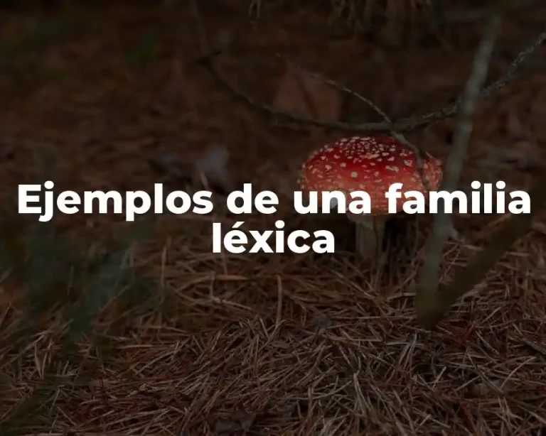 Ejemplos de una familia léxica