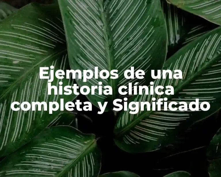Ejemplos de una historia clínica completa y Significado