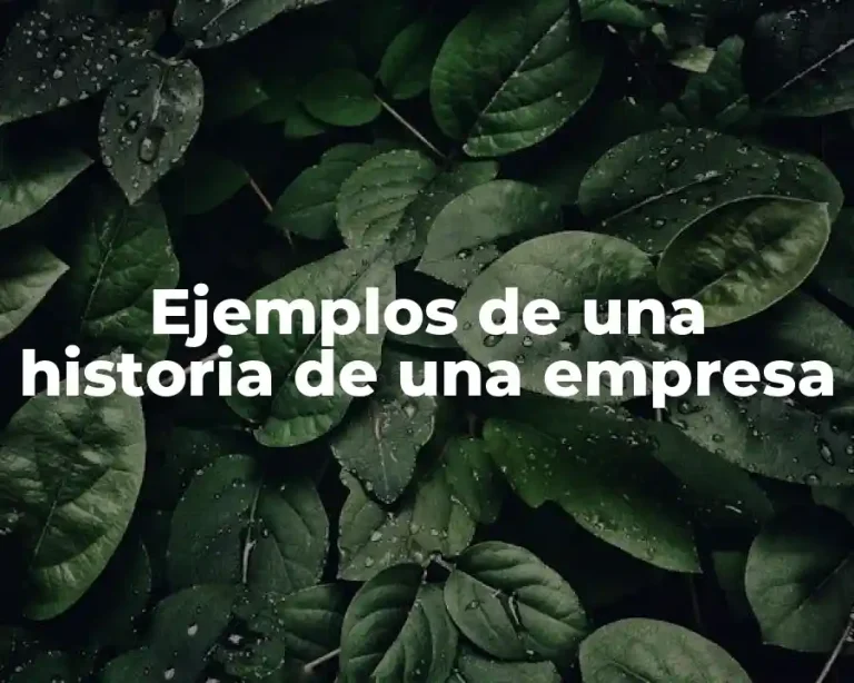 Ejemplos de una historia de una empresa