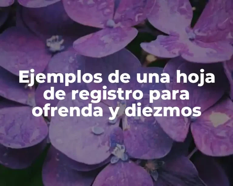 Ejemplos de una hoja de registro para ofrenda y diezmos