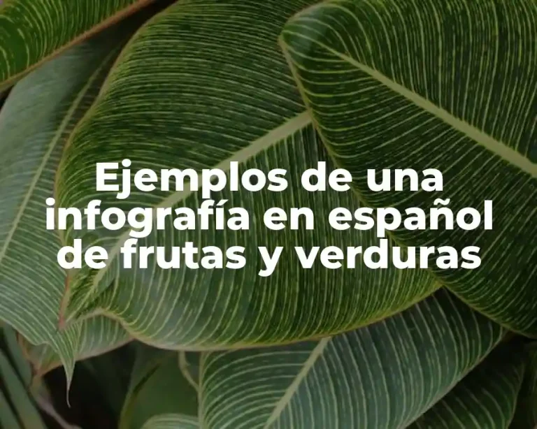 Ejemplos de una infografía en español de frutas y verduras