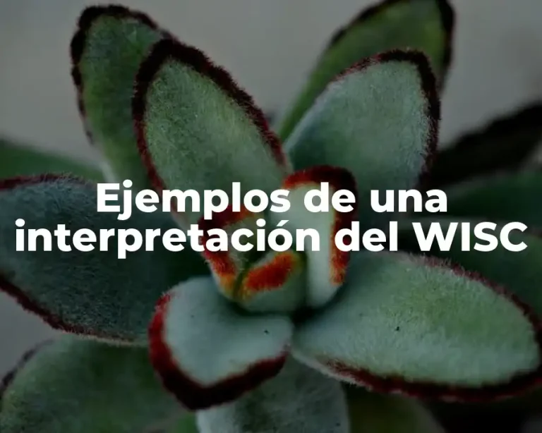 Ejemplos de una interpretación del WISC