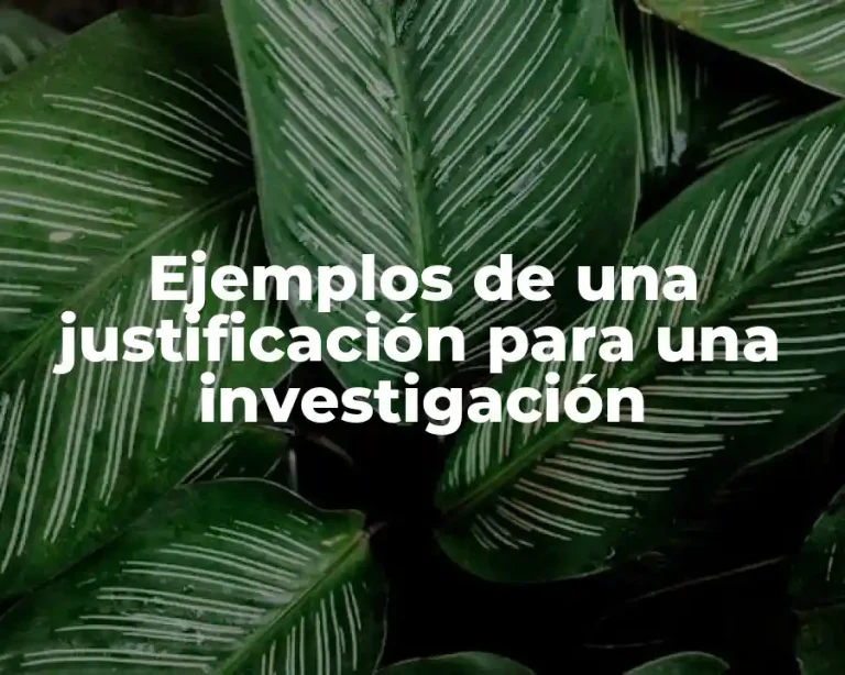 Ejemplos de una justificación para una investigación