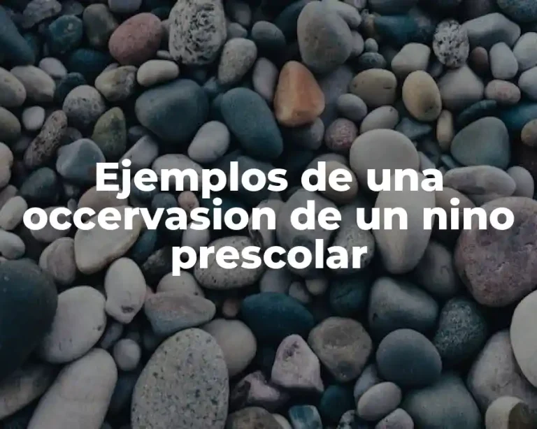 Ejemplos de una occervasion de un nino prescolar