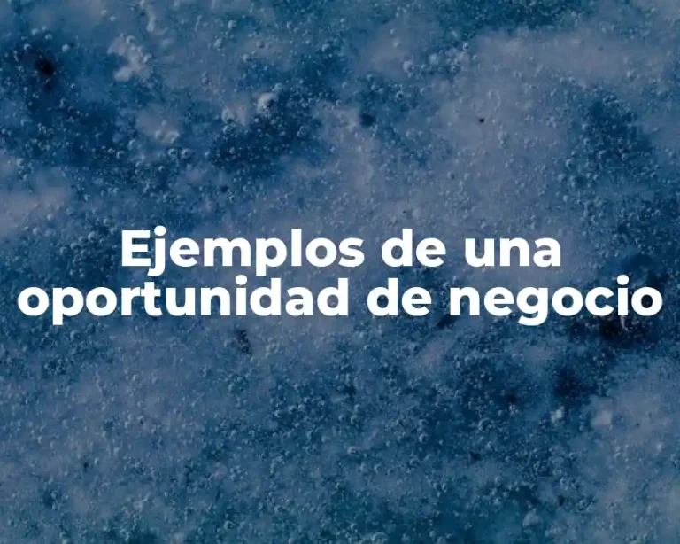 Ejemplos de una oportunidad de negocio