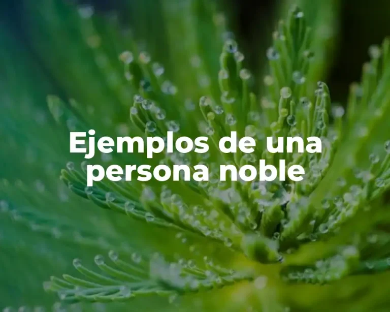 Ejemplos de una persona noble