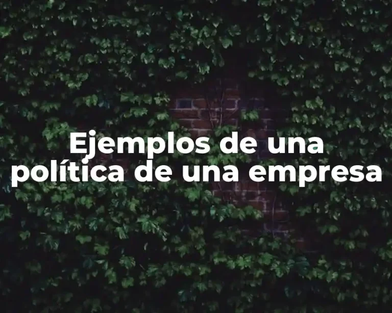 Ejemplos de una política de una empresa