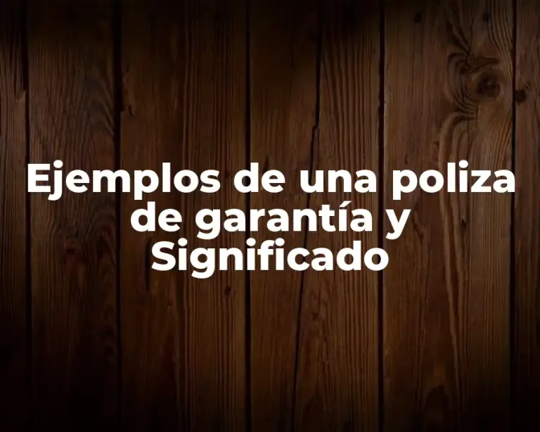 Ejemplos de una poliza de garantía y Significado