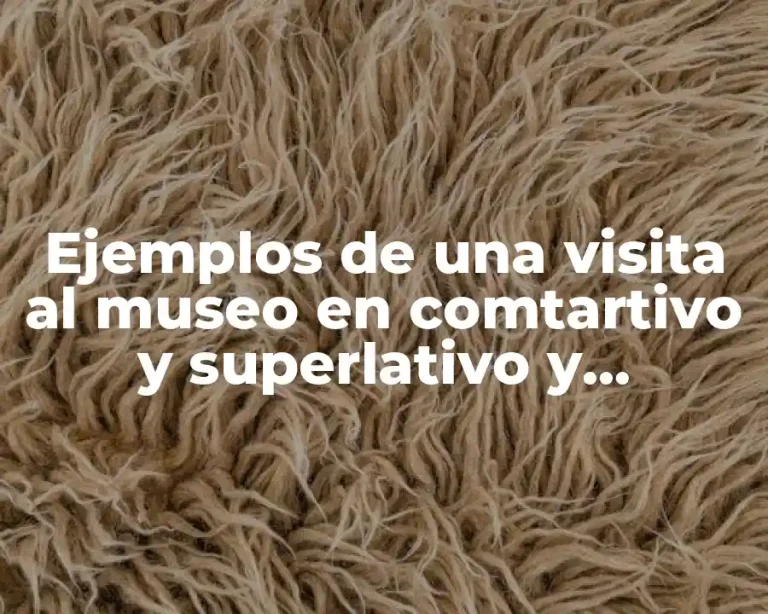 Ejemplos de una visita al museo en comtartivo y superlativo y Significado