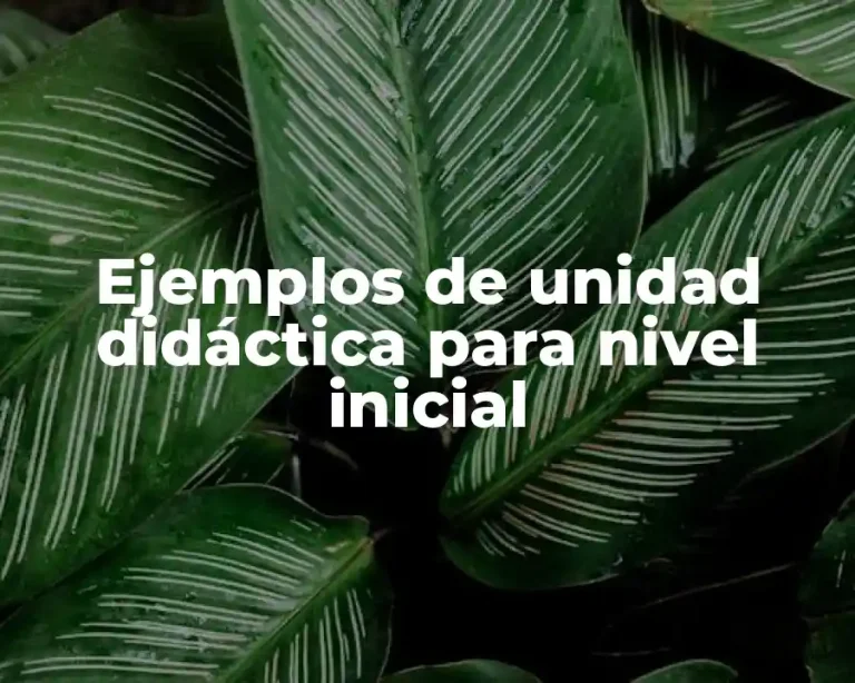 Ejemplos de unidad didáctica para nivel inicial