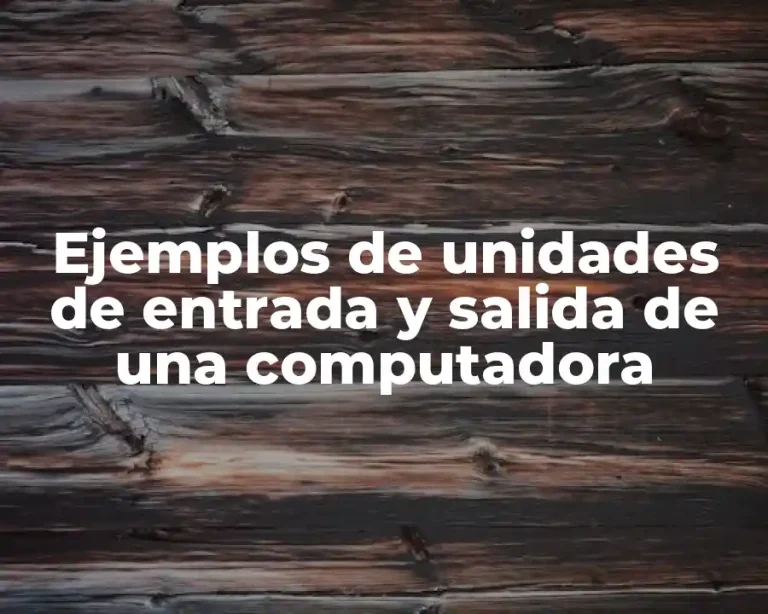 Ejemplos de unidades de entrada y salida de una computadora
