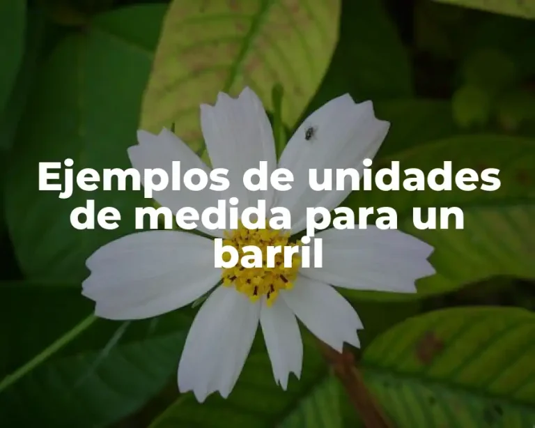 Ejemplos de unidades de medida para un barril