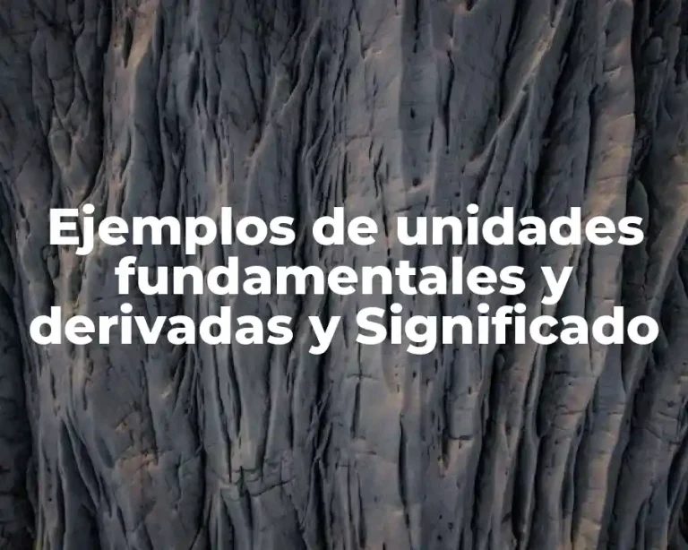Ejemplos de unidades fundamentales y derivadas y Significado
