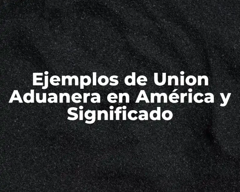 Ejemplos de Union Aduanera en América y Significado