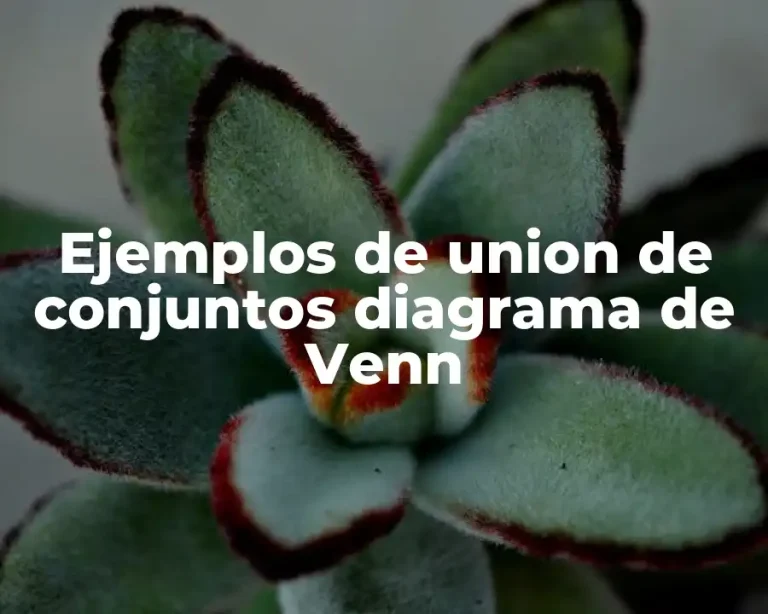 Ejemplos de union de conjuntos diagrama de Venn