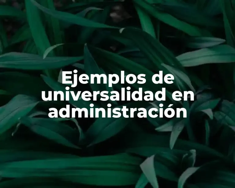 Ejemplos de universalidad en administración