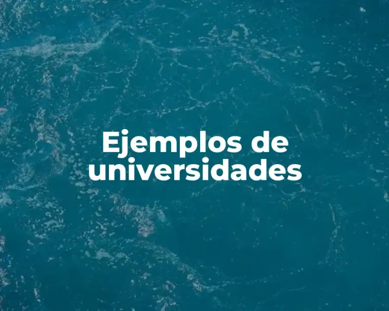 Ejemplos de universidades