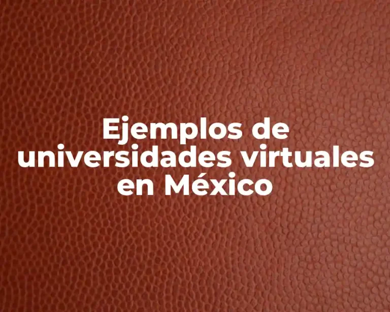 Ejemplos de universidades virtuales en México