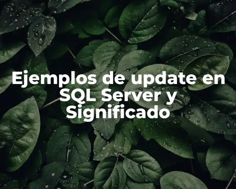 Ejemplos de update en SQL Server y Significado
