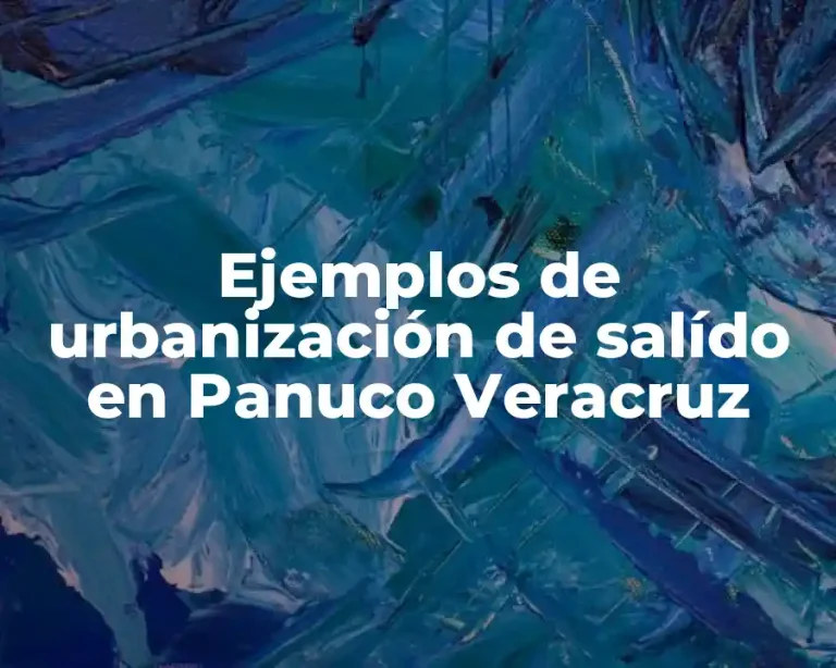 Ejemplos de urbanización de salído en Panuco Veracruz