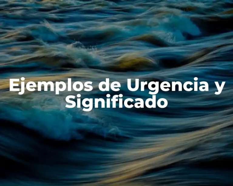 Ejemplos de Urgencia y Significado