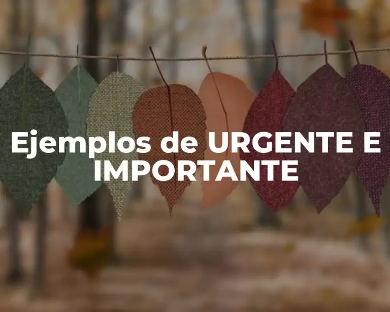 Ejemplos de URGENTE E IMPORTANTE