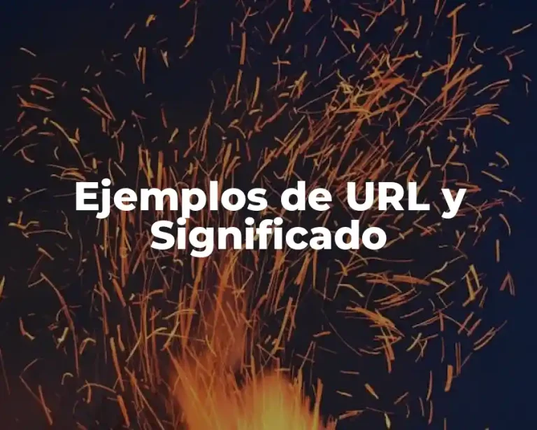 Ejemplos de URL y Significado