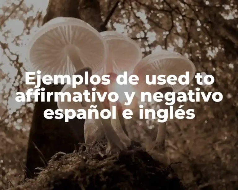 Ejemplos de used to affirmativo y negativo español e inglés