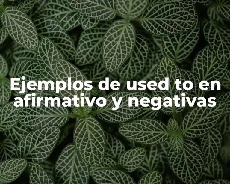 Ejemplos de used to en afirmativo y negativas