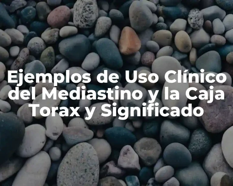 Ejemplos de Uso Clínico del Mediastino y la Caja Torax y Significado