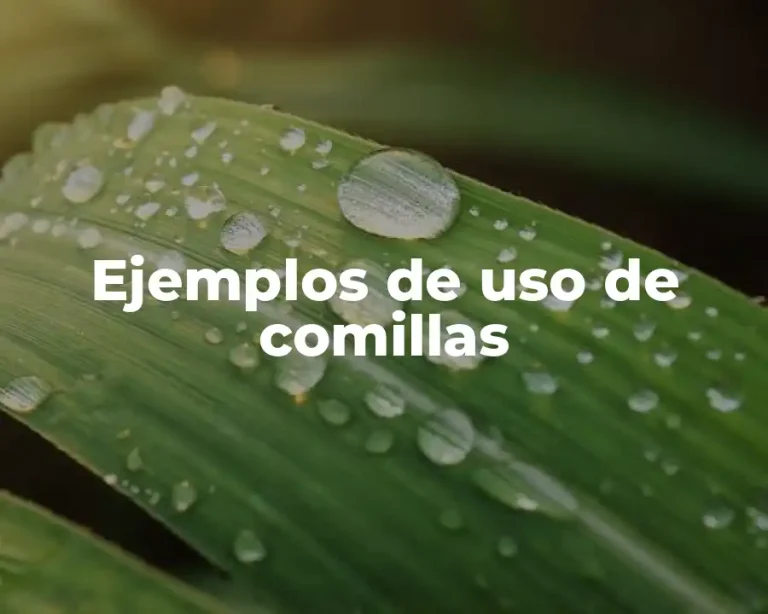 Ejemplos de uso de comillas