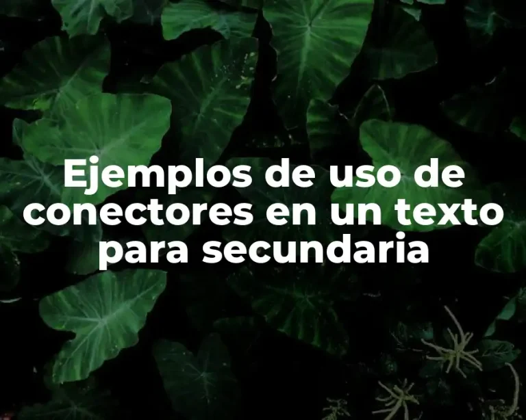 Ejemplos de uso de conectores en un texto para secundaria