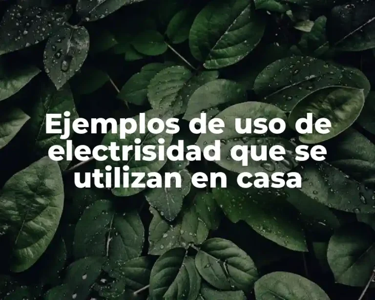 Ejemplos de uso de electrisidad que se utilizan en casa