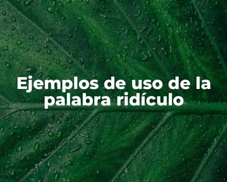 Ejemplos de uso de la palabra ridículo