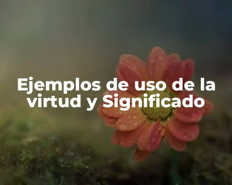 Ejemplos de uso de la virtud y Significado