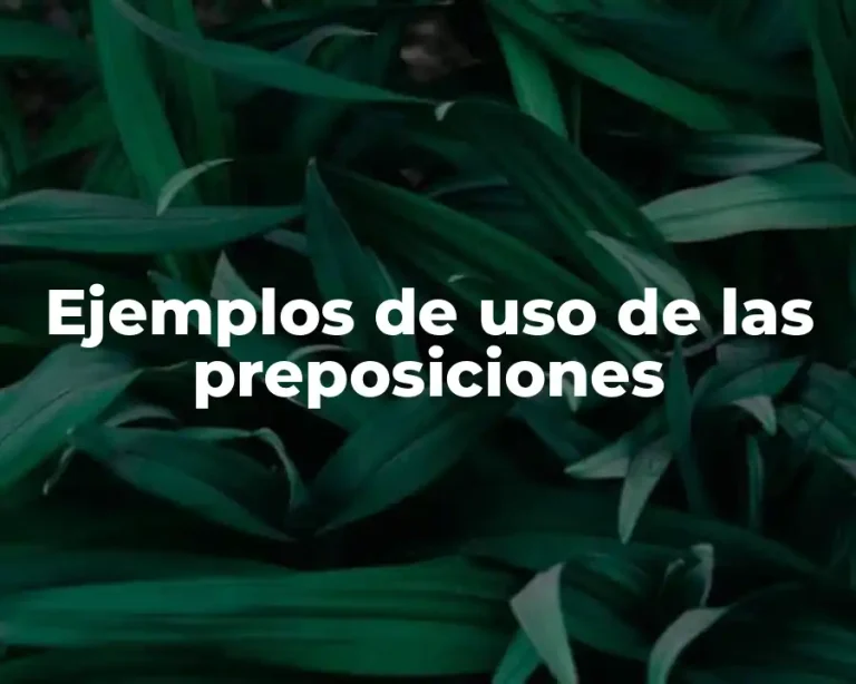 Ejemplos de uso de las preposiciones