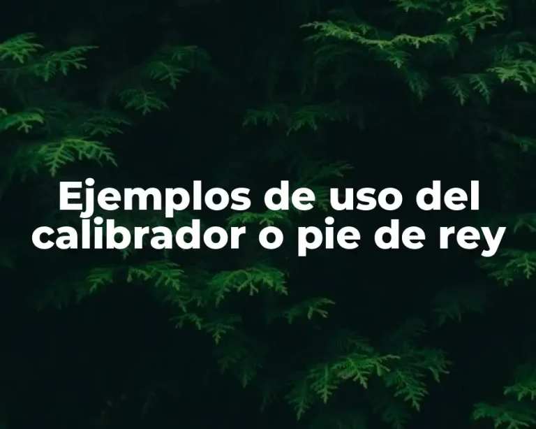 Ejemplos de uso del calibrador o pie de rey