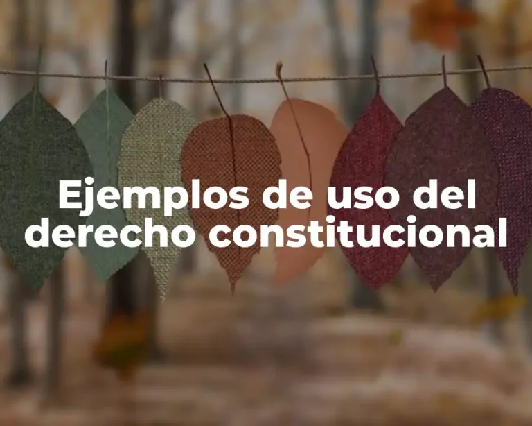 Ejemplos de uso del derecho constitucional