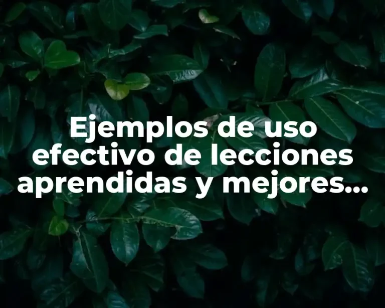 Ejemplos de uso efectivo de lecciones aprendidas y mejores prácticas y Significado