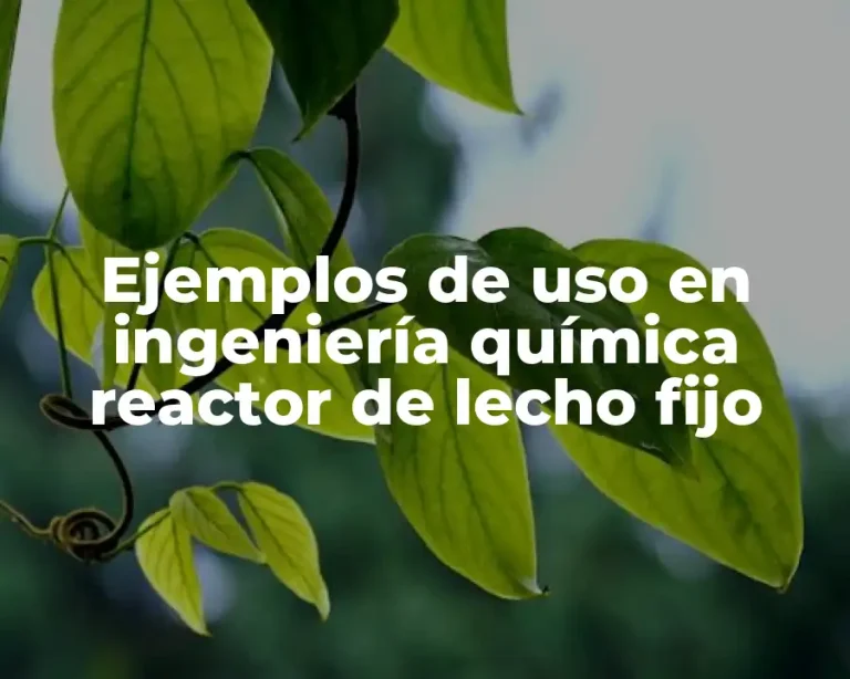 Ejemplos de uso en ingeniería química reactor de lecho fijo